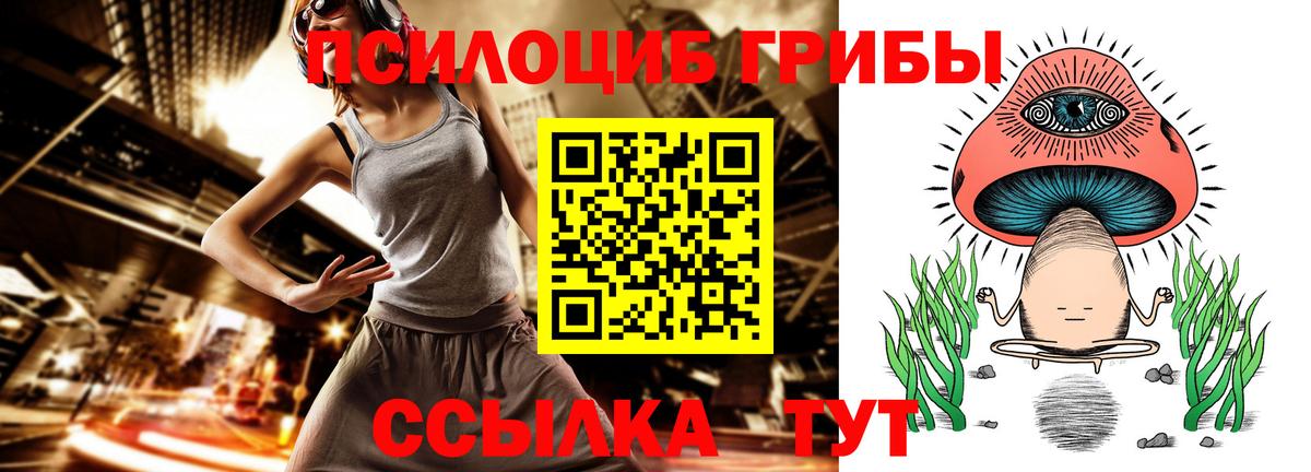 Сибай  Галлюциногенные грибы Cubensis  Вход с VPN 